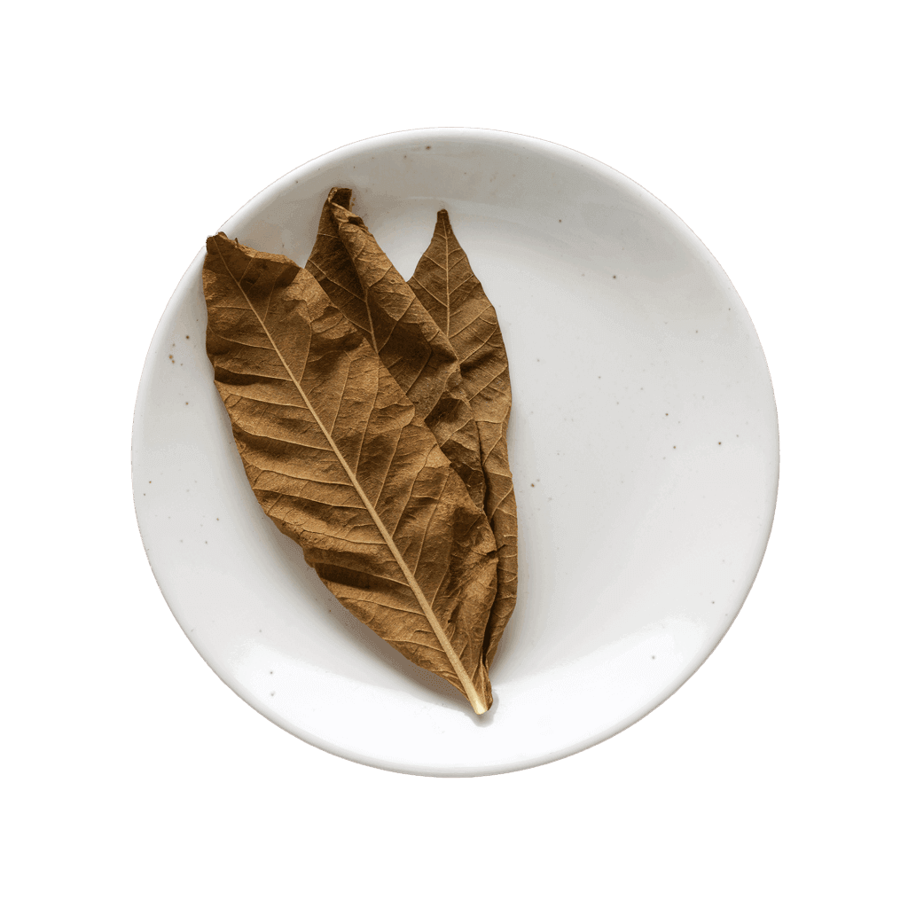 WONZ CIGPAL - 特殊過濾器