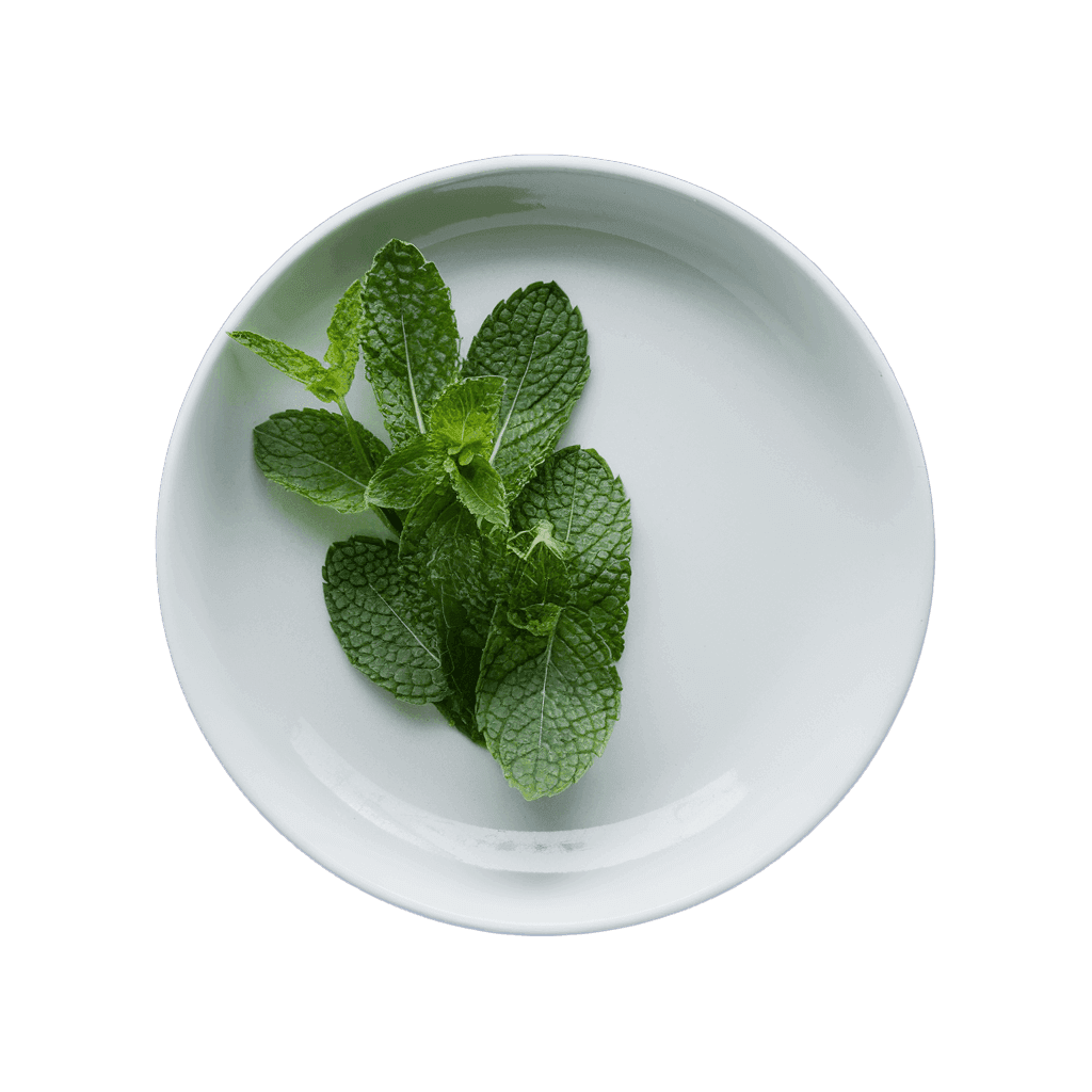 WONZ CIGPAL - 特殊過濾器